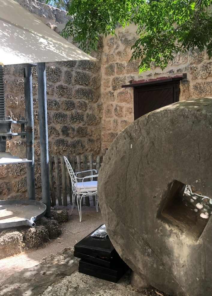 צילום: , ויקיפדיה