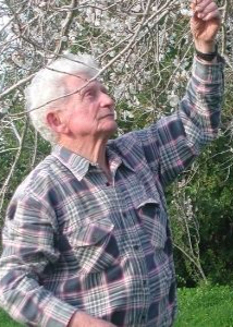  בוטניקה ציונית או ציונות בוטנית - יום העיון השנתי לזכר נגה הראובני 2025 | הזמנת כרטיסים