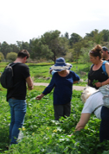  אוכל מחבר אנשים 2025-2026 | הזמנת כרטיסים