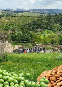  יום עיון גן בוטני נאות קדומים - קטניות או לא להיות! | הזמנת כרטיסים