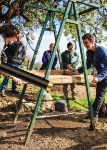  סיור ארכיאולוגיה לכל המשפחה - חושפים את העבר בנאות קדומים 2026 | הזמנת כרטיסים