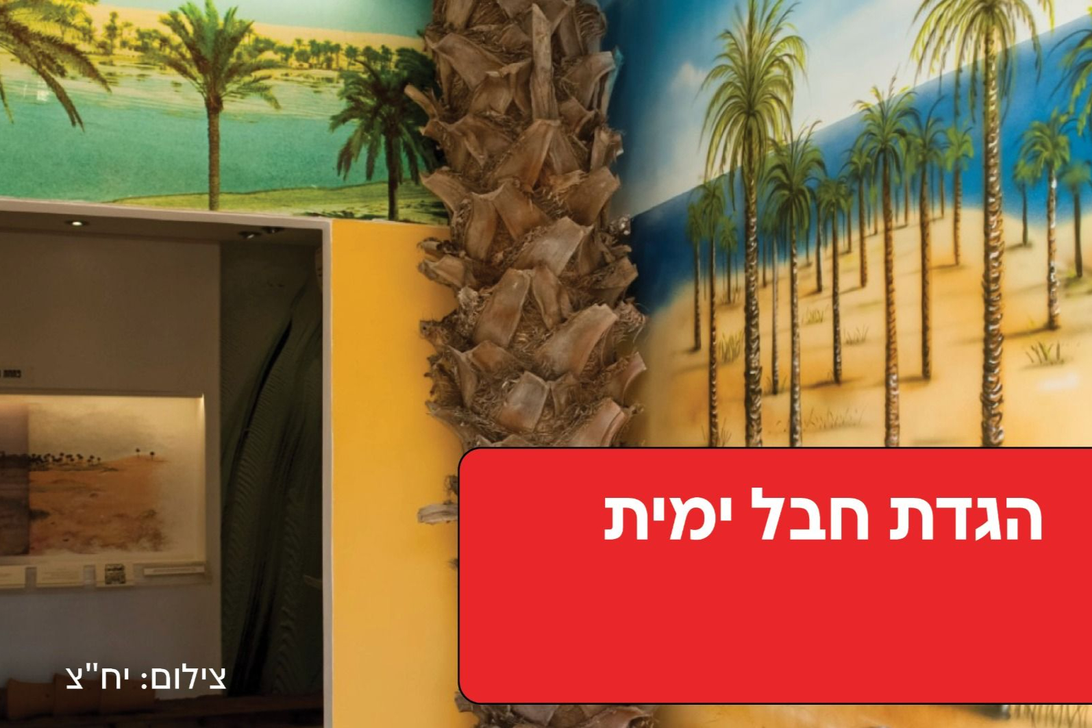הגדת חבל ימית - טיקצ'אק