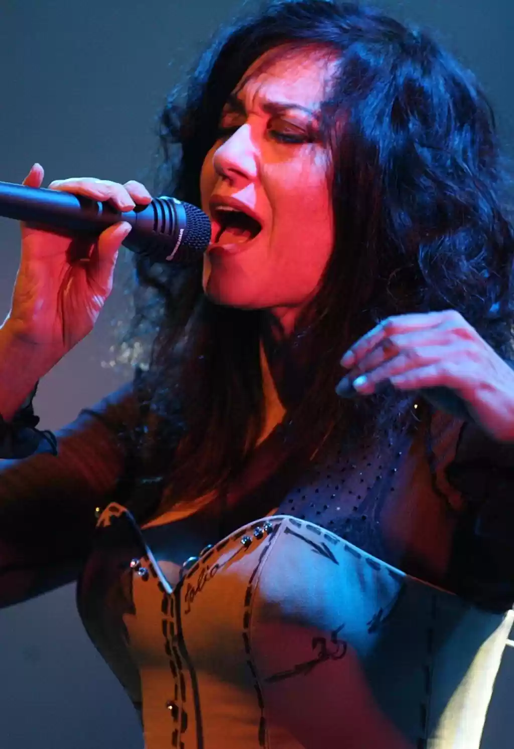  מופע מוסיקלי-שלומית אהרון, ליטל סביליה ובר זגמן | האירוע חלף