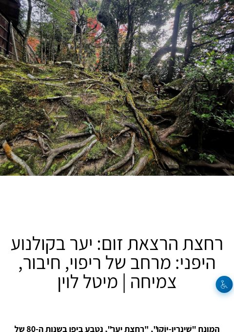  רחצת הרצאת זום: יער בקולנוע היפני: מרחב של ריפוי, חיבור, צמיחה | מיטל לוין | הזמנת כרטיסים