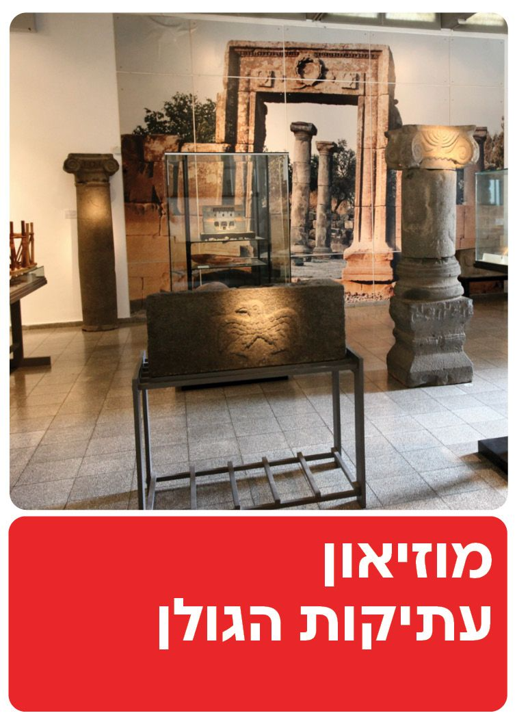  מוזיאון עתיקות הגולן  | הזמנת כרטיסים