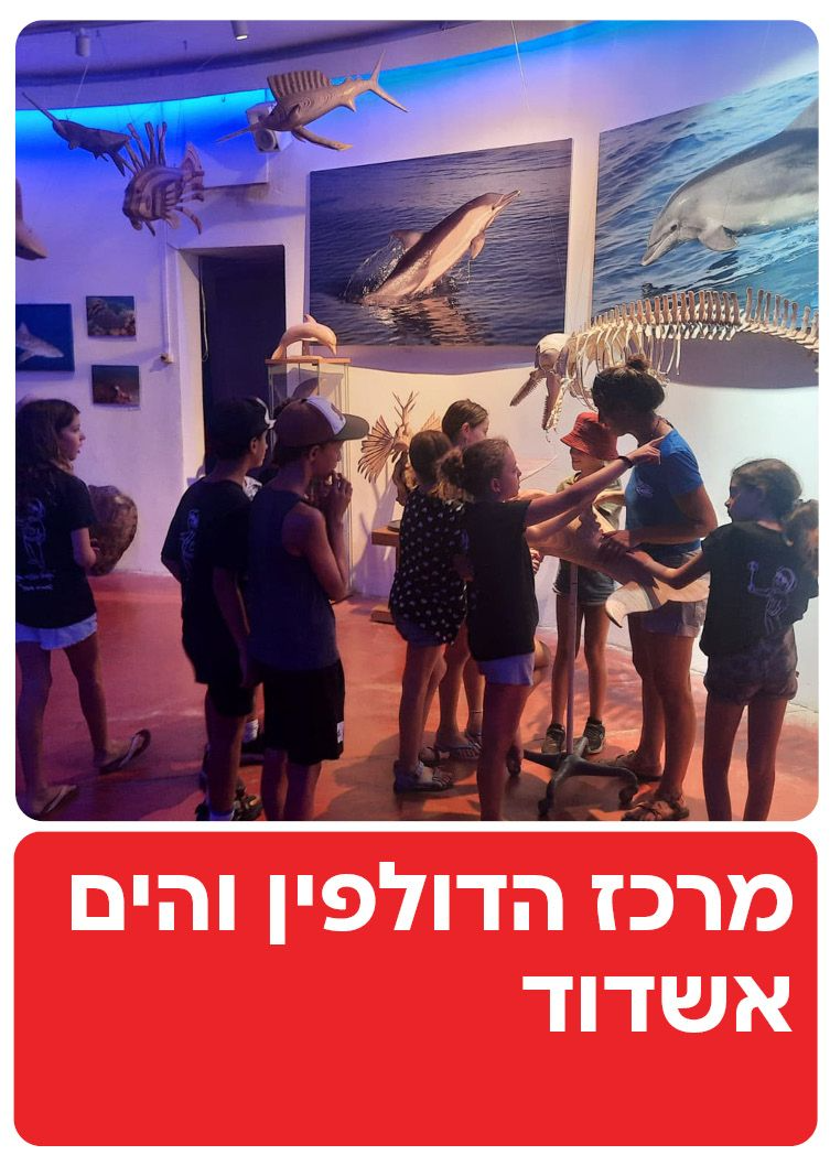  מרכז הדולפין והים  | הזמנת כרטיסים