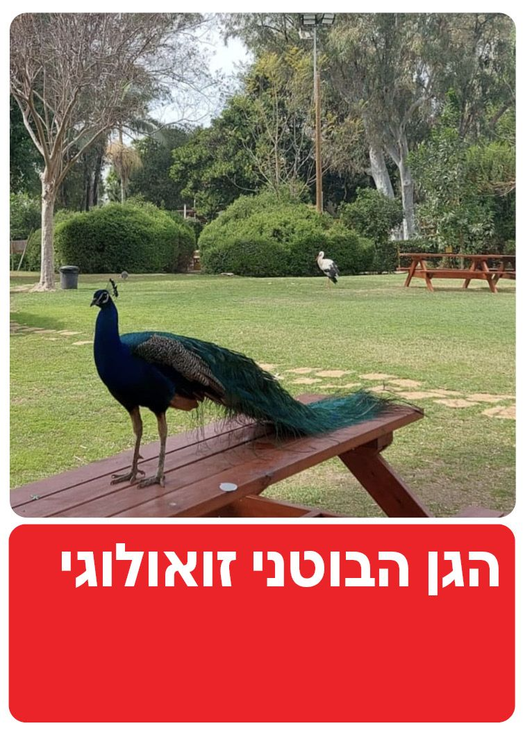  הגן הבוטני זאולוגי נהריה | הזמנת כרטיסים