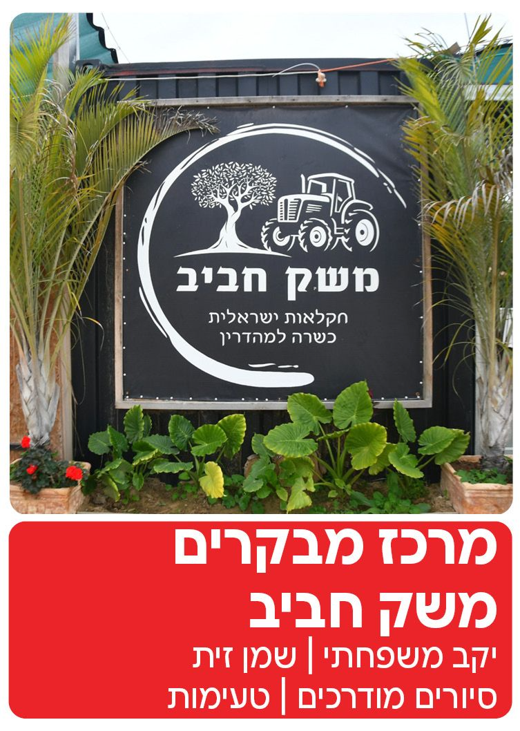  משק חביב - פעמי תש"ז | הזמנת כרטיסים